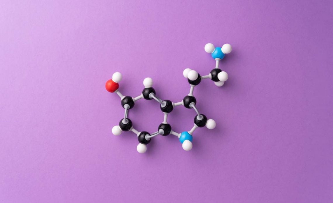 metabolizma