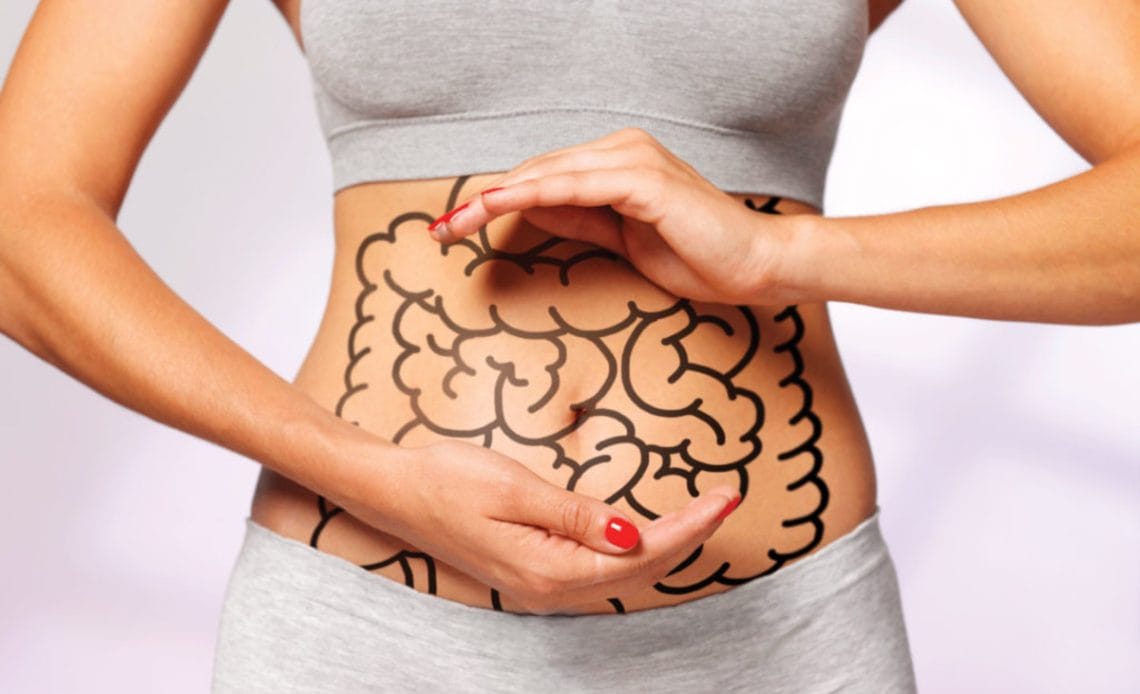 223-Sindirim Sistemi bağırsak sağlığı